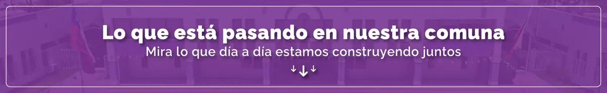 Ilustre Municipalidad de San Ramón — foto 2 de 4