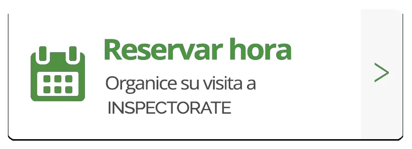 Revisión Tecnica San Fernando